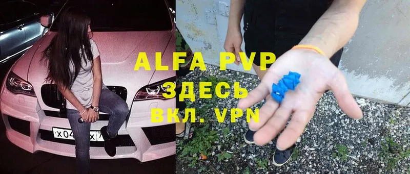 Alfa_PVP СК  Каменногорск 