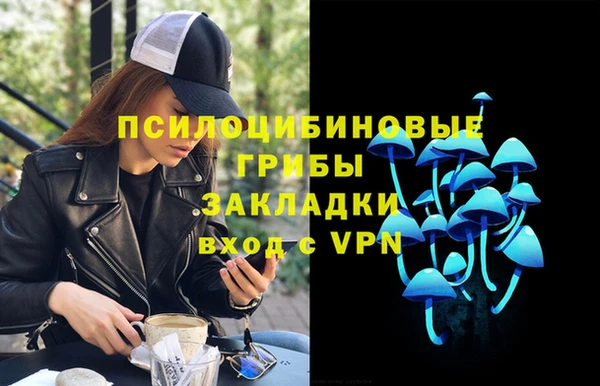 PSILOCYBIN Верхний Тагил